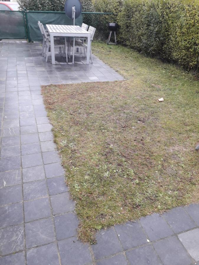 Seacottage Bredene Eksteriør bilde